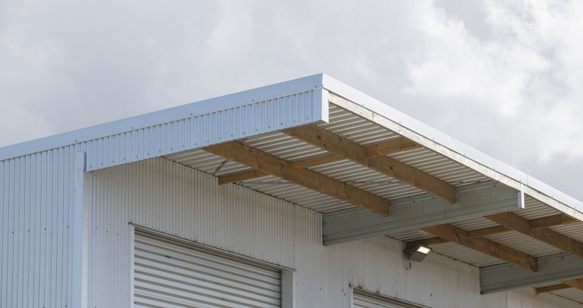 Steel Birdproof Purlins