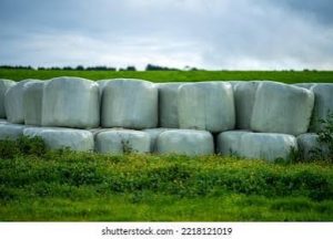 bays of hay in an NZ paddock
