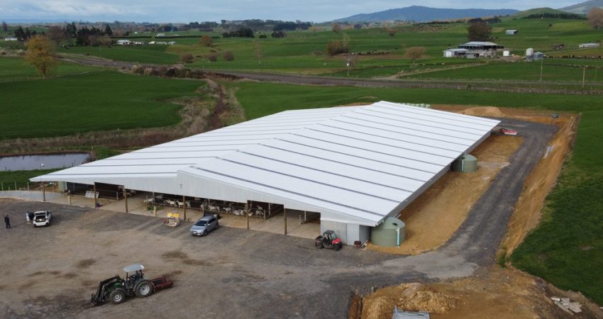 Goat, Sheep and Cattle Sheds